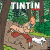 Zoom in: Tintin Calendar 2004 - not available: questo calendario si trova SOLO in Giappone, e.g. tramite www.amazon.co.jp