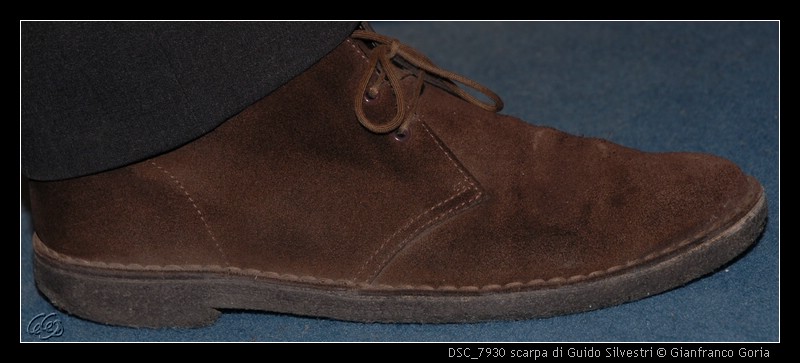 DSC_7930 scarpa di Guido Silvestri.jpg